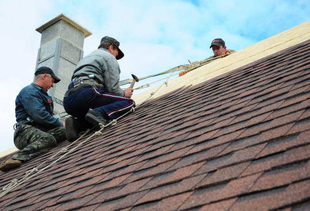 Best Gutter Installation and Roofing  in Maryland City, MD